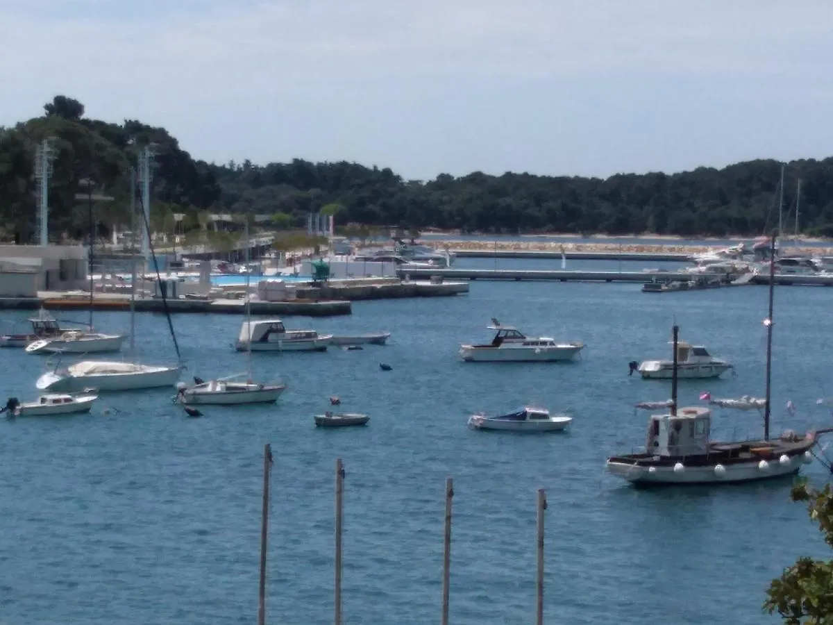 Apartment Adriatic Sea View Zoe 罗维尼 克罗地亚